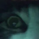 thedestructorflick