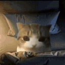 burrito_0721