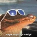 www.drago.com