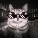 moon_dev_moon