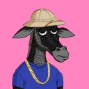 raffe4717