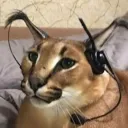 da_amonman