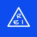 rei393
