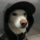 jjowi.