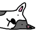 adsito