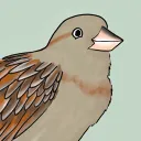 sparrow8243