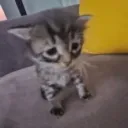 sleepy.notfound_