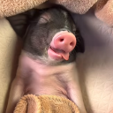 avatar 🅟🅐🅛🅘🅟🅐