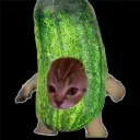 _gurk_