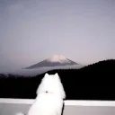 wwokay