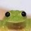 Frogge