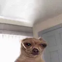 _kaxetinha