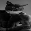 Аватар ivanlpo