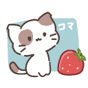 タカ