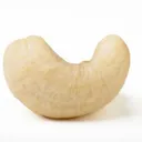 casualcashew