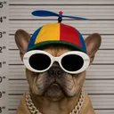 qtdude