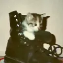 zas