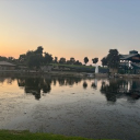 avatar briannarose🥀🥂