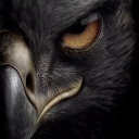 avatar Utilisateur Introuvable