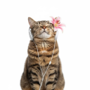 avatar cat