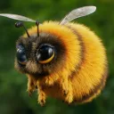 bumblebeee_