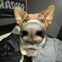 gh05t_r4v3n's Avatar