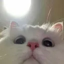 sloppydev.