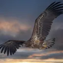 dragonsky1092