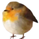 pajaritozz