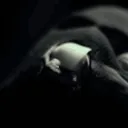 flamesgrief1555