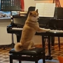 avatar theteatimetea