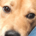 avatar theteatimetea