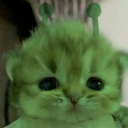 Discord Avatar