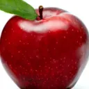 apple_is_a_fruit avatar