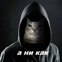 animeku1