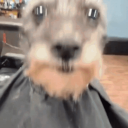 avatar "              /</0X 9tko