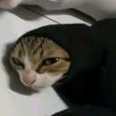 avatar Melisdelish❣