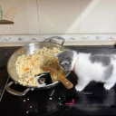 avatar Melisdelish❣