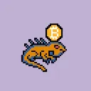 reddy_iguana