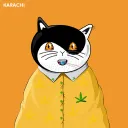 karan101
