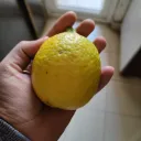 rkyadav5479