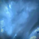rainybison