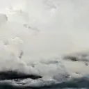 rainybison