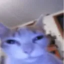 0z_new