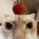 xunreachablee