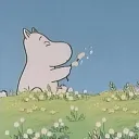 mollykin