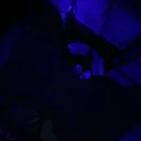 jayofftheyerkys