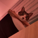 Discord Avatar