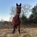 avatar k a t e 💞✨