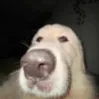 iih8iihh9j9j9j9